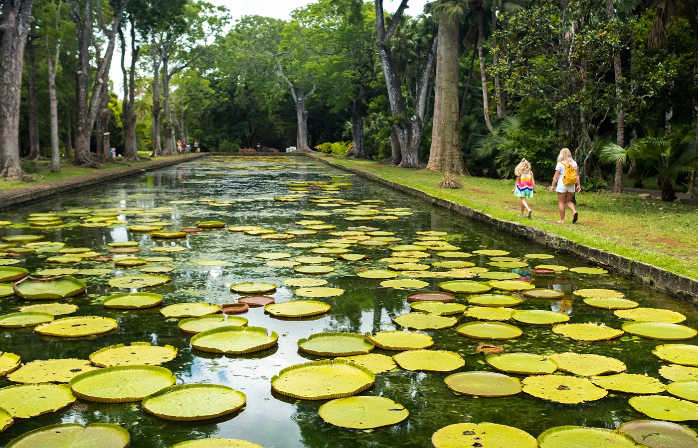 Mauritius Botanical Garden